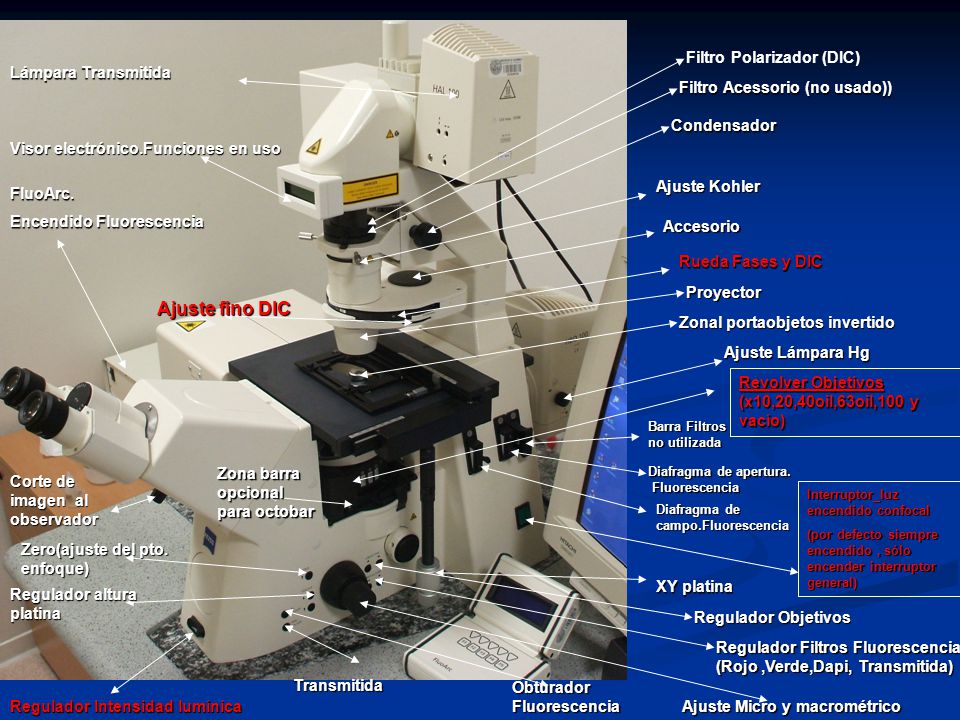Microscopio de Fluorescencia Filtros : 1-DAPI/azul 10-VERDE 15-ROJO - ppt  video online descargar