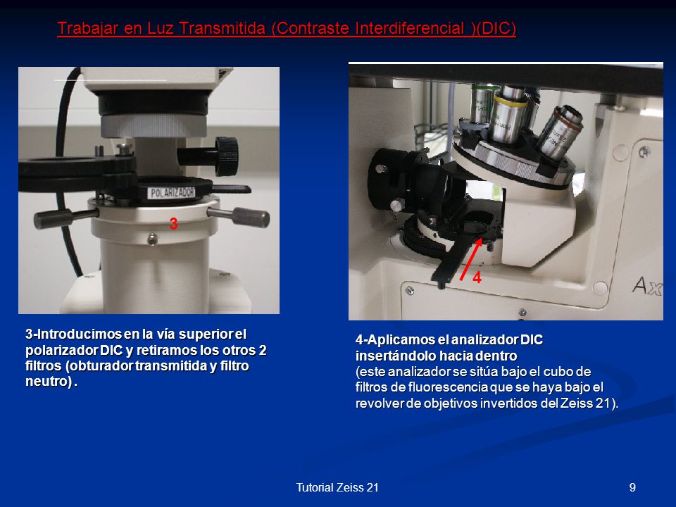 Trabajar en Luz Transmitida (Contraste Interdiferencial )(DIC)