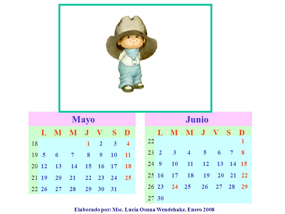 Mayo Junio L M M J V S D L M M J V S D