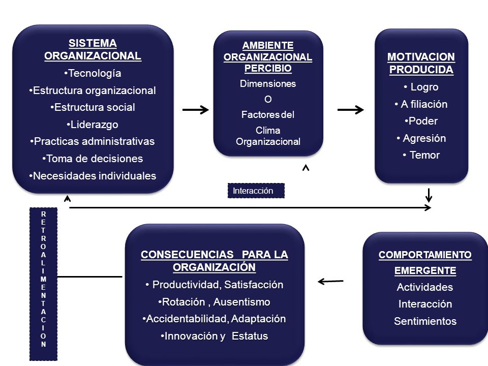 SISTEMA ORGANIZACIONAL Tecnología Estructura organizacional