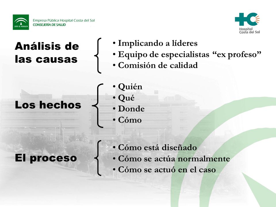 Análisis de las causas Los hechos El proceso Implicando a líderes