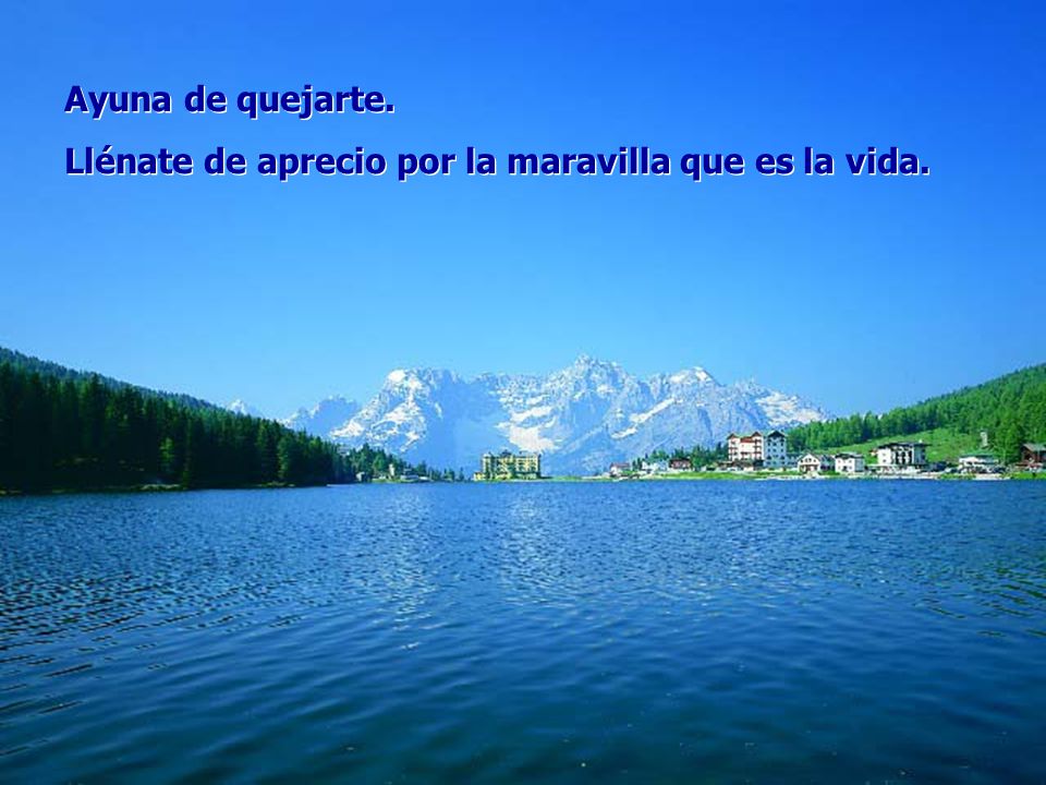 Llénate de aprecio por la maravilla que es la vida.