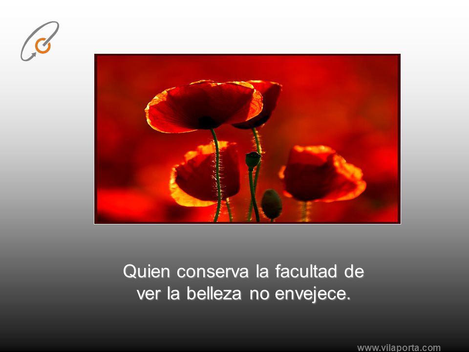 Quien conserva la facultad de ver la belleza no envejece.