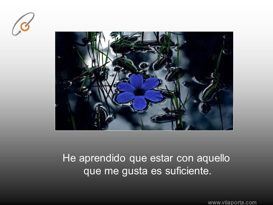 He aprendido que estar con aquello que me gusta es suficiente.