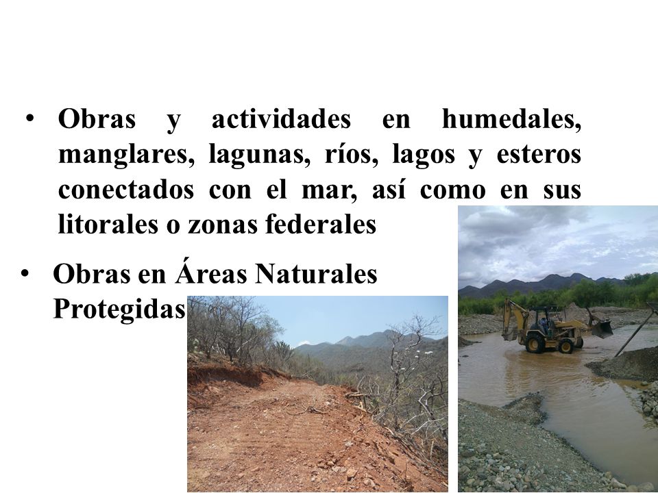 Obras y actividades en humedales, manglares, lagunas, ríos, lagos y esteros conectados con el mar, así como en sus litorales o zonas federales