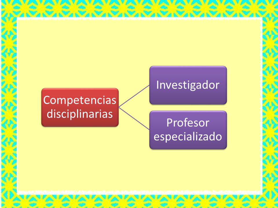 Competencias disciplinarias Investigador Profesor especializado