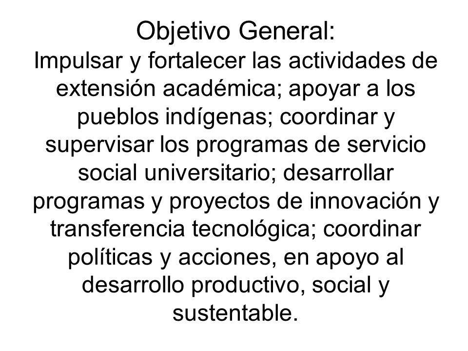 Objetivo General: Impulsar y fortalecer las actividades de extensión académica; apoyar a los pueblos indígenas; coordinar y supervisar los programas de servicio social universitario; desarrollar programas y proyectos de innovación y transferencia tecnológica; coordinar políticas y acciones, en apoyo al desarrollo productivo, social y sustentable.