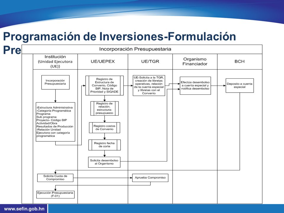 Programación de Inversiones-Formulación Presupuestaria