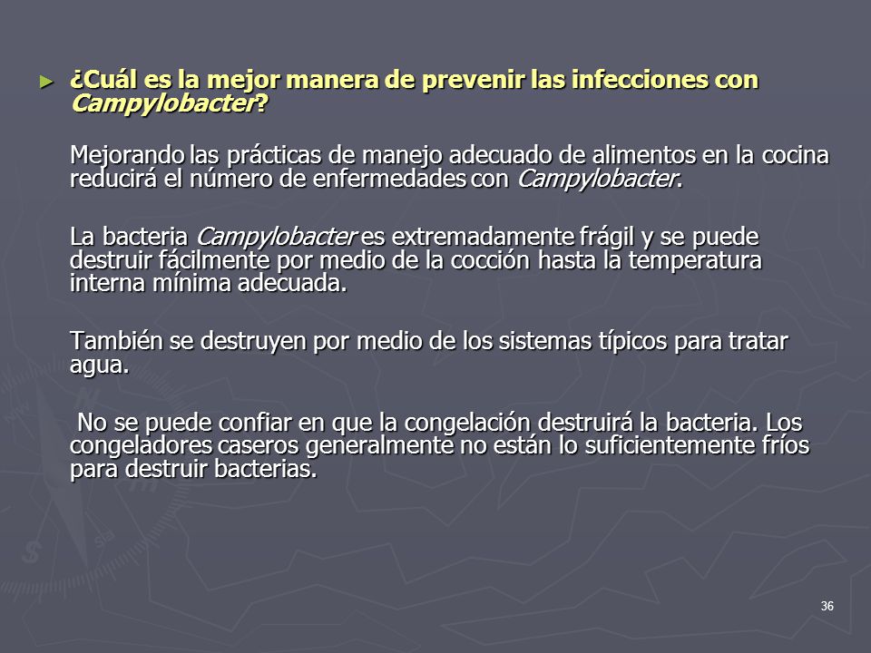 ¿Cuál es la mejor manera de prevenir las infecciones con Campylobacter