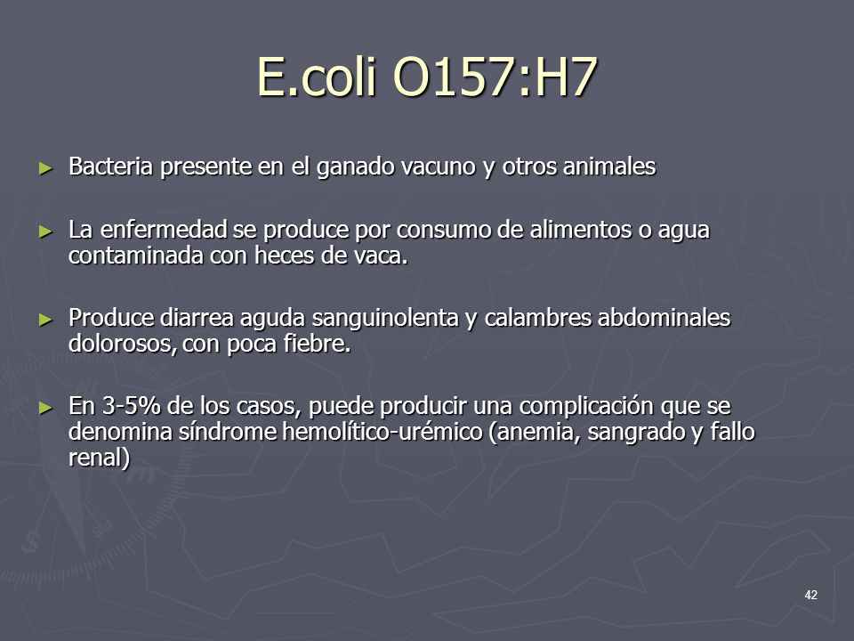 E.coli O157:H7 Bacteria presente en el ganado vacuno y otros animales