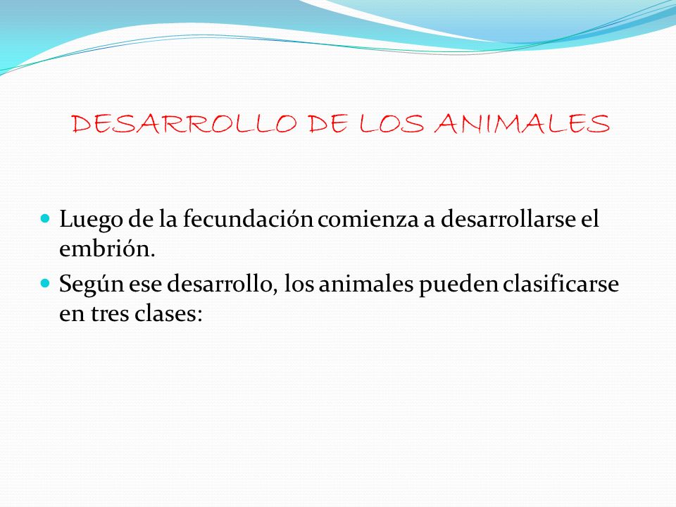 DESARROLLO DE LOS ANIMALES
