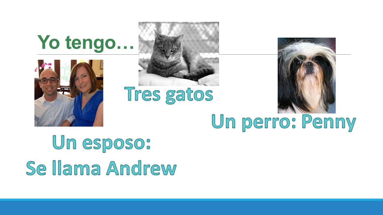 Tres gatos Un perro: Penny Un esposo: Se llama Andrew