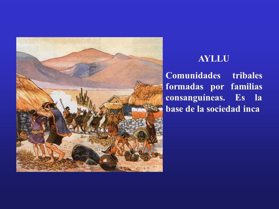 AYLLU Comunidades tribales formadas por familias consanguíneas. Es la base de la sociedad inca