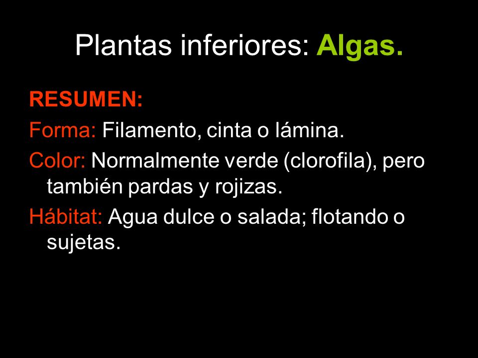 Plantas inferiores: Algas.