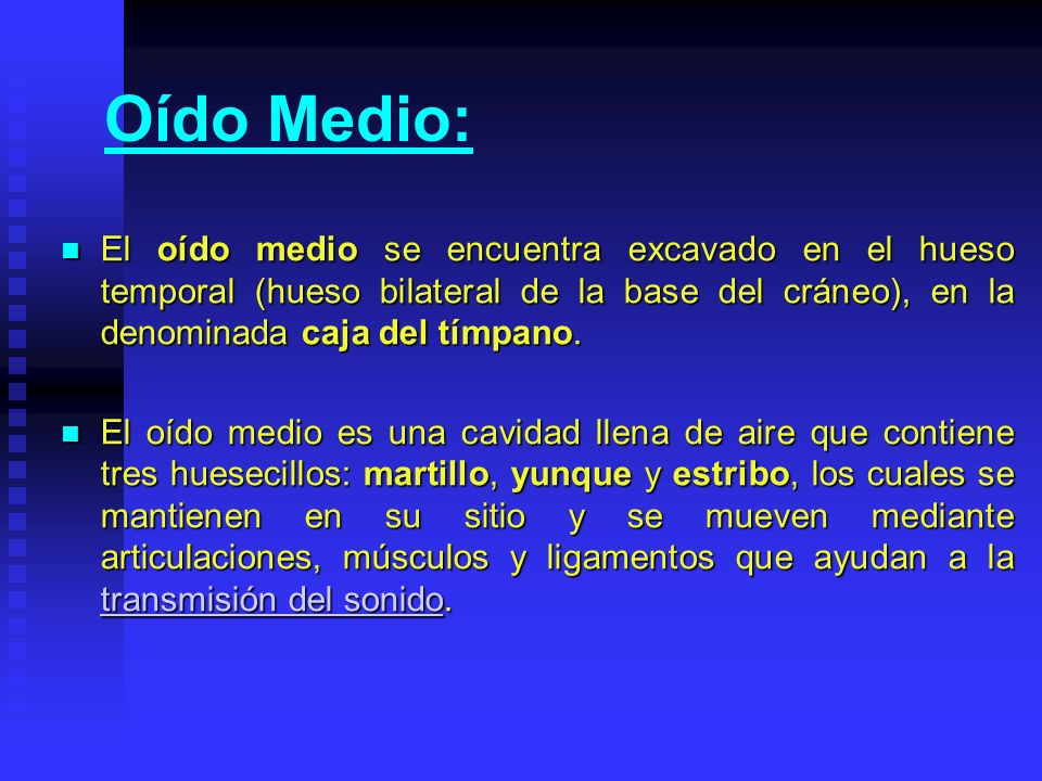 Oído Medio: El oído medio se encuentra excavado en el hueso temporal (hueso bilateral de la base del cráneo), en la denominada caja del tímpano.