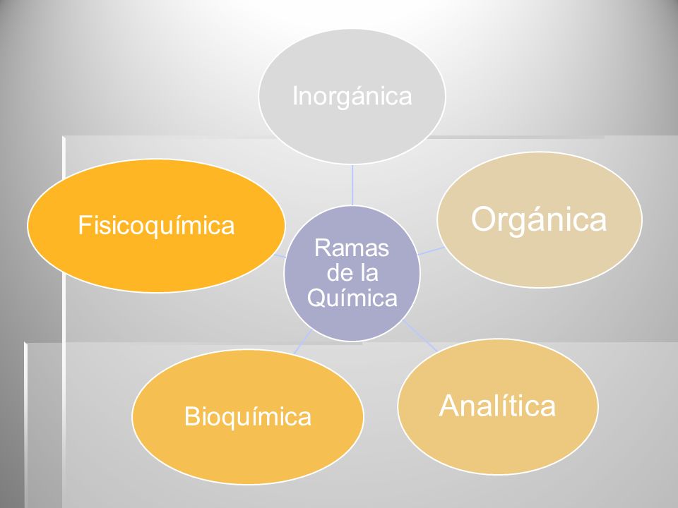 Orgánica Analítica Inorgánica Bioquímica Fisicoquímica