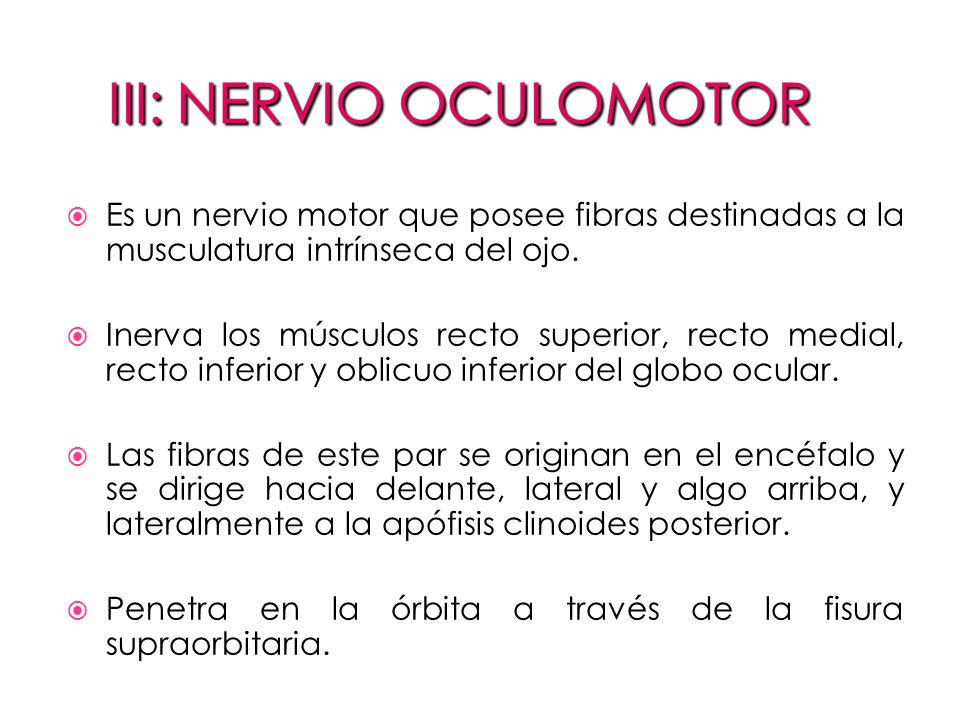 Es un nervio motor que posee fibras destinadas a la musculatura intrínseca del ojo.