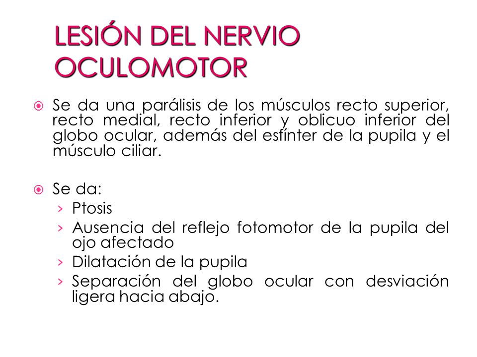 Se da una parálisis de los músculos recto superior, recto medial, recto inferior y oblicuo inferior del globo ocular, además del esfínter de la pupila y el músculo ciliar.