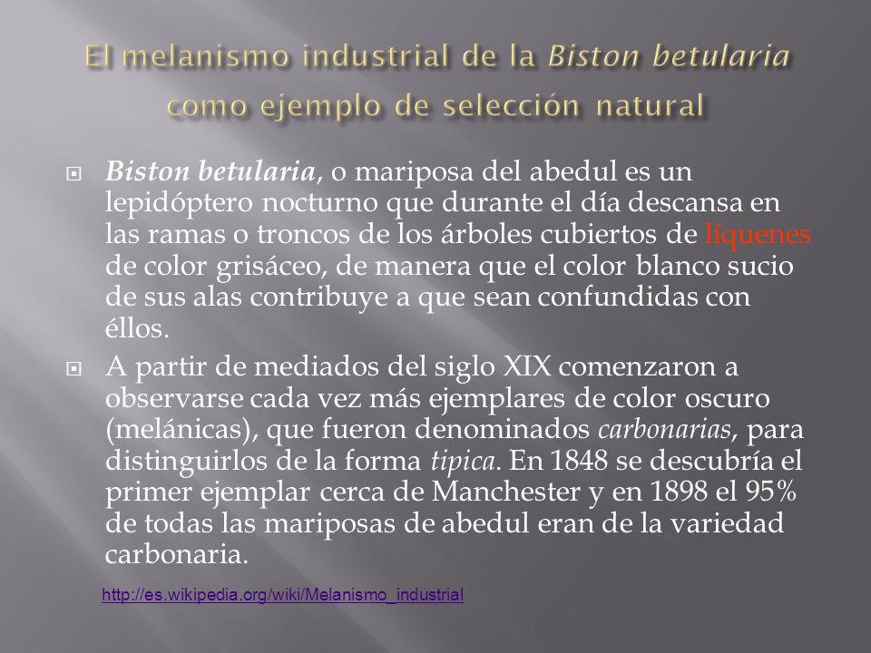 El melanismo industrial de la Biston betularia como ejemplo de selección natural