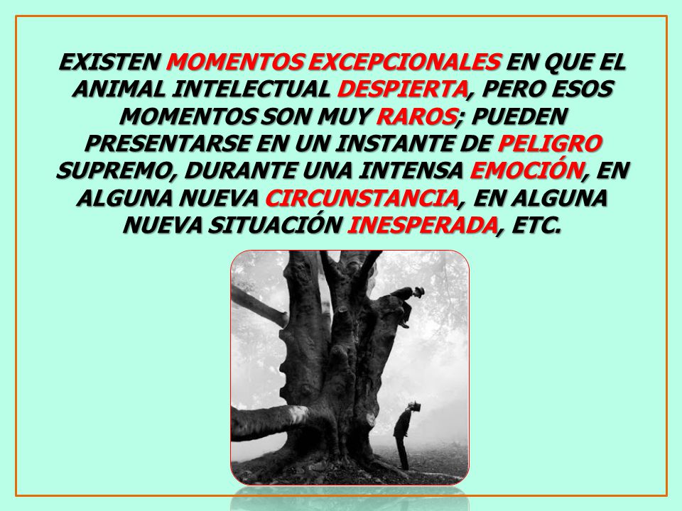 EXISTEN MOMENTOS EXCEPCIONALES EN QUE EL ANIMAL INTELECTUAL DESPIERTA, PERO ESOS MOMENTOS SON MUY RAROS; PUEDEN PRESENTARSE EN UN INSTANTE DE PELIGRO SUPREMO, DURANTE UNA INTENSA EMOCIÓN, EN ALGUNA NUEVA CIRCUNSTANCIA, EN ALGUNA NUEVA SITUACIÓN INESPERADA, ETC.