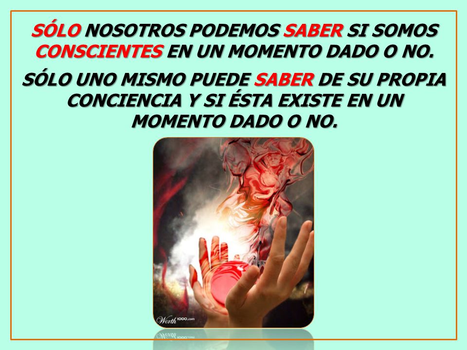 SÓLO NOSOTROS PODEMOS SABER SI SOMOS CONSCIENTES EN UN MOMENTO DADO O NO.