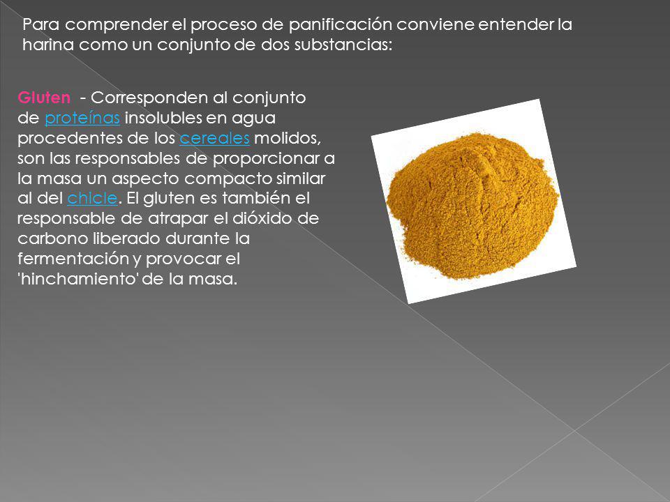 Para comprender el proceso de panificación conviene entender la harina como un conjunto de dos substancias: