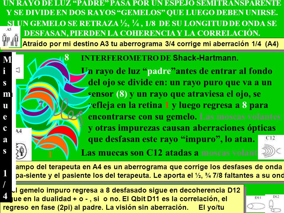 Las muecas son C12 atadas a moscas volantes. 8 Mis muecas
