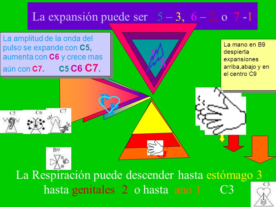 La expansión puede ser 5 – 3, 6 – 2, o 7 -1