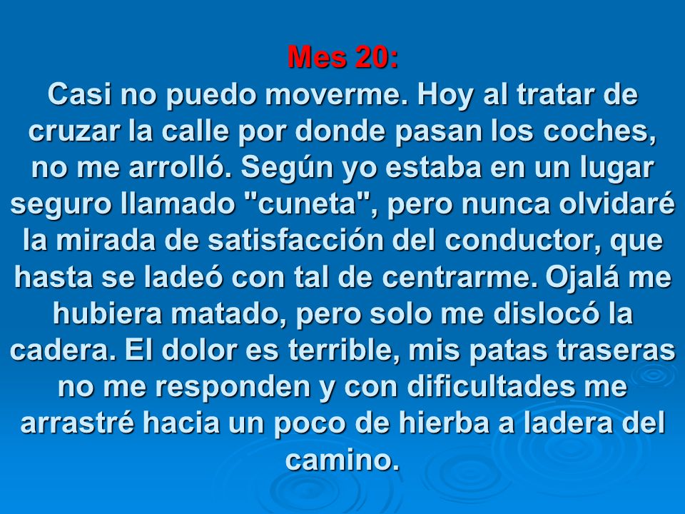 Mes 20: Casi no puedo moverme