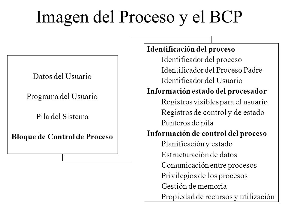Imagen del Proceso y el BCP