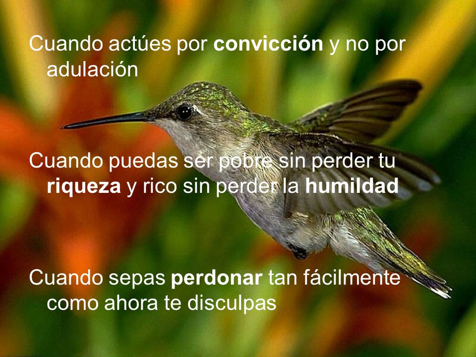 Cuando actúes por convicción y no por adulación