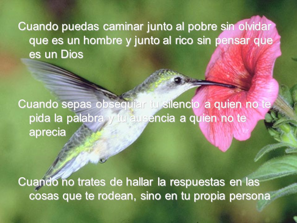 Cuando puedas caminar junto al pobre sin olvidar que es un hombre y junto al rico sin pensar que es un Dios