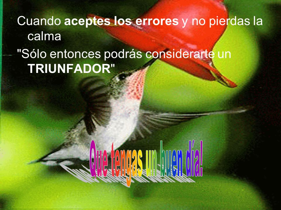 Cuando aceptes los errores y no pierdas la calma