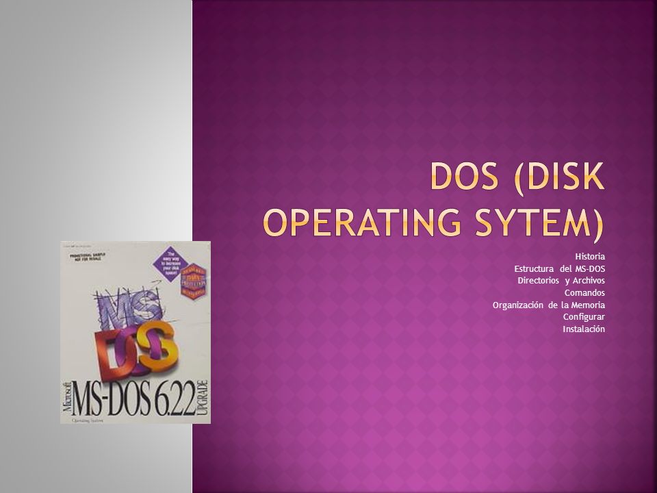 DOS (Disk Operating Sytem)