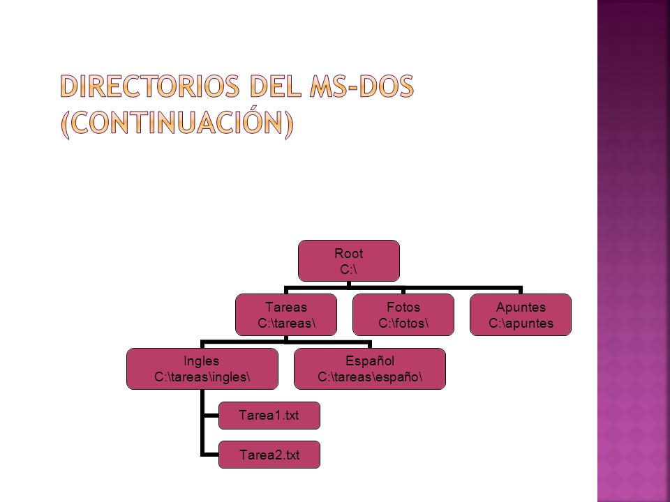 Directorios del MS-DOS (Continuación)