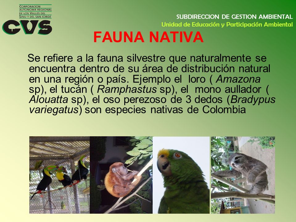 SUBDIRECCION DE GESTION AMBIENTAL Unidad de Educación y Participación Ambiental