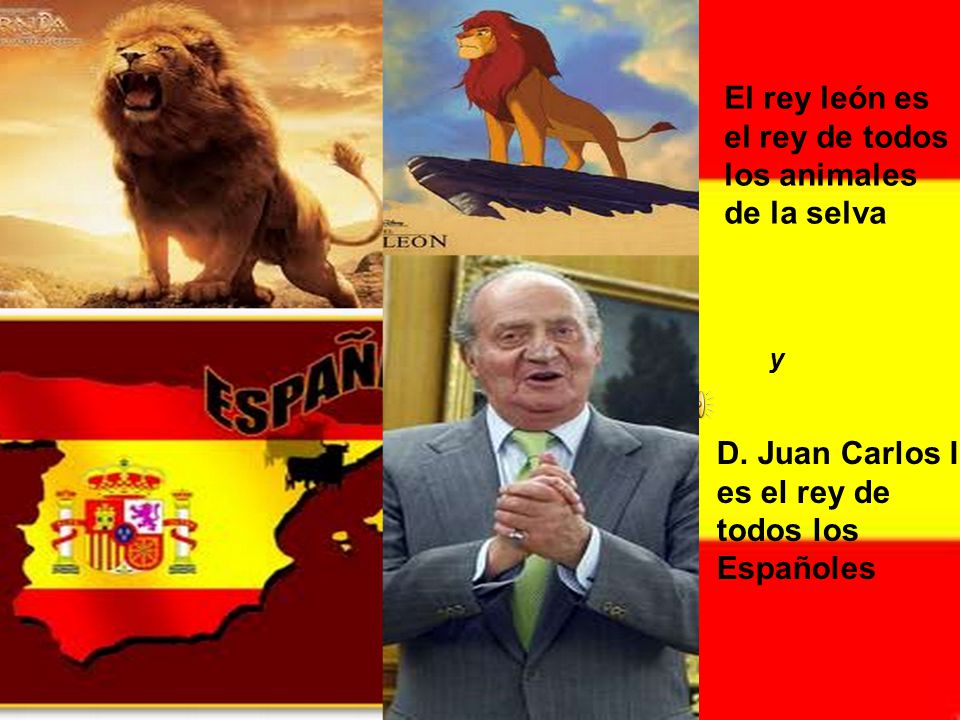 El rey león es el rey de todos los animales de la selva