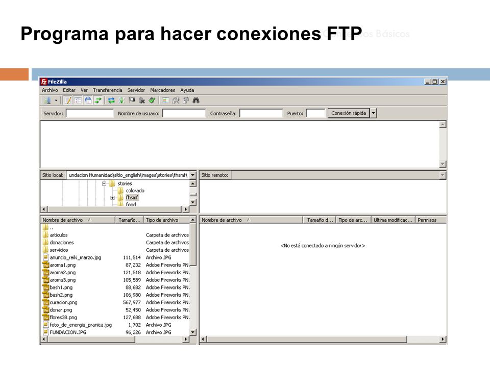 Programa para hacer conexiones FTP