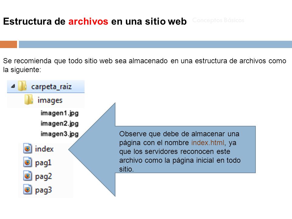 Estructura de archivos en una sitio web