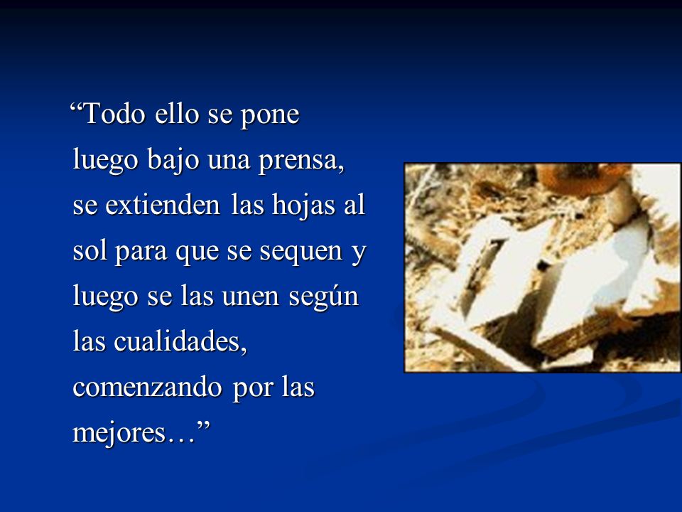 Todo ello se pone luego bajo una prensa, se extienden las hojas al sol para que se sequen y luego se las unen según las cualidades, comenzando por las mejores…