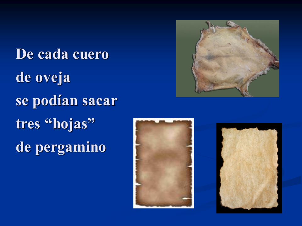 De cada cuero de oveja se podían sacar tres hojas de pergamino