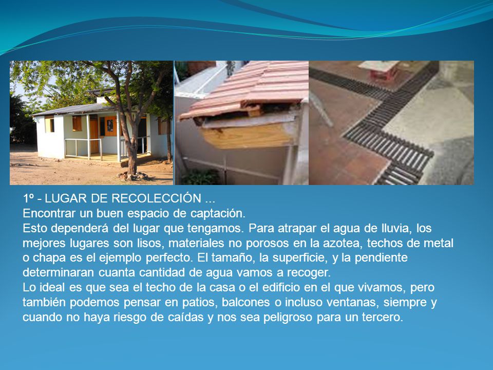 1º - LUGAR DE RECOLECCIÓN. Encontrar un buen espacio de captación