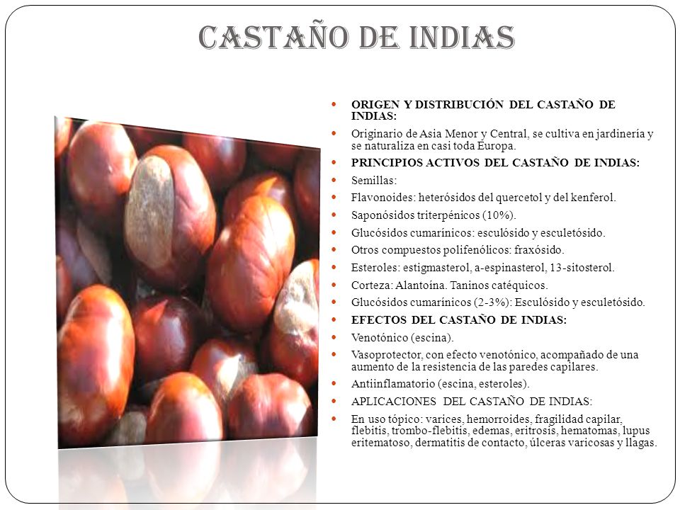 CASTAÑO DE INDIAS ORIGEN Y DISTRIBUCIÓN DEL CASTAÑO DE INDIAS: