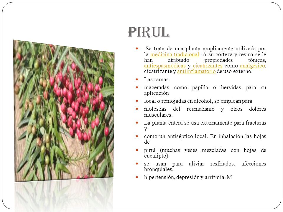 PIRUL