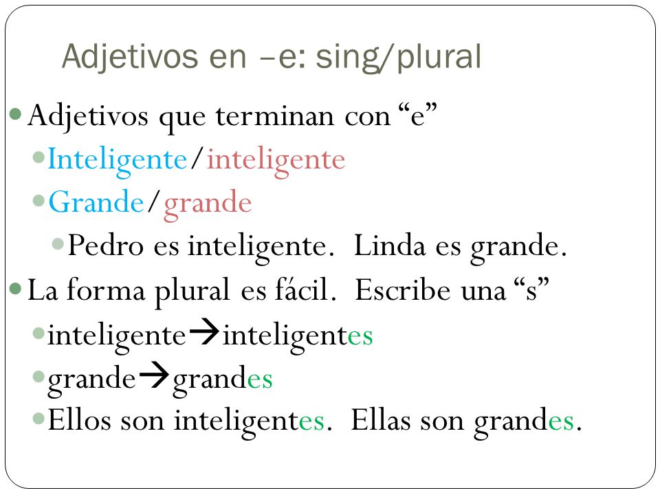 Adjetivos en –e: sing/plural