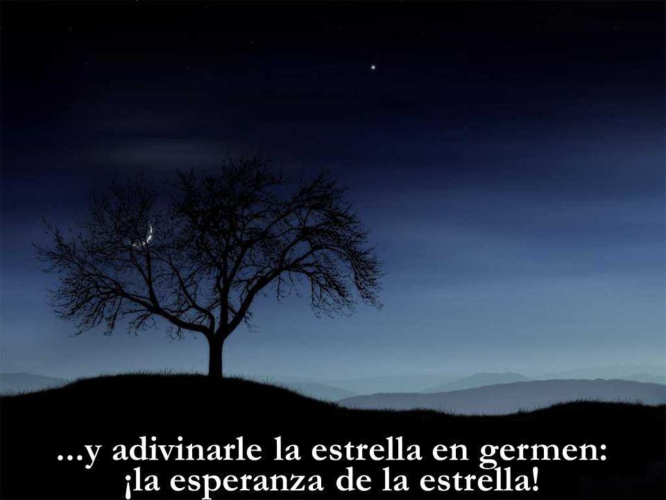 ...y adivinarle la estrella en germen: ¡la esperanza de la estrella!