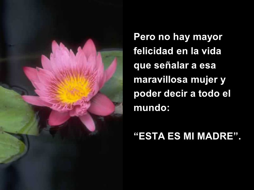 Pero no hay mayor felicidad en la vida. que señalar a esa. maravillosa mujer y. poder decir a todo el.