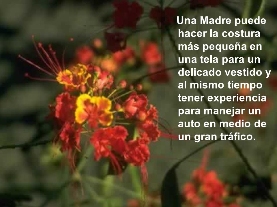 Una Madre puede hacer la costura más pequeña en una tela para un delicado vestido y al mismo tiempo tener experiencia para manejar un auto en medio de un gran tráfico.