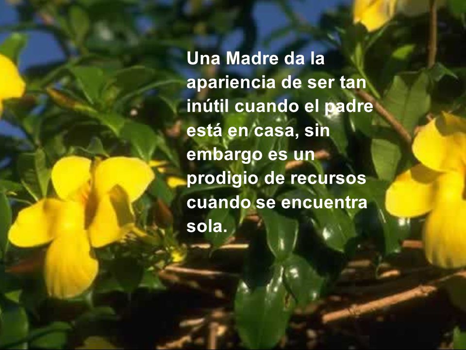 Una Madre da la apariencia de ser tan. inútil cuando el padre. está en casa, sin. embargo es un.