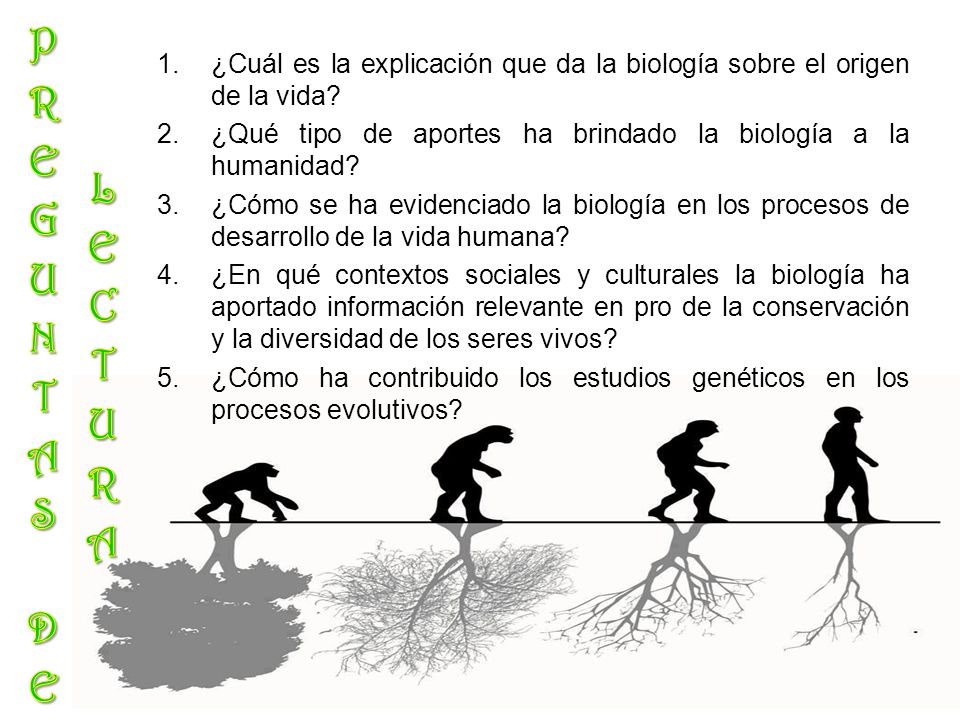 PREGUNTAS DE LECTURA ¿Cuál es la explicación que da la biología sobre el origen de la vida